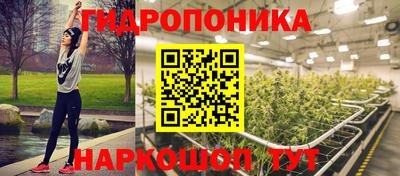 ГАЛЛЮЦИНОГЕННЫЕ ГРИБЫ Кимры