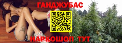 mdpv Кингисепп