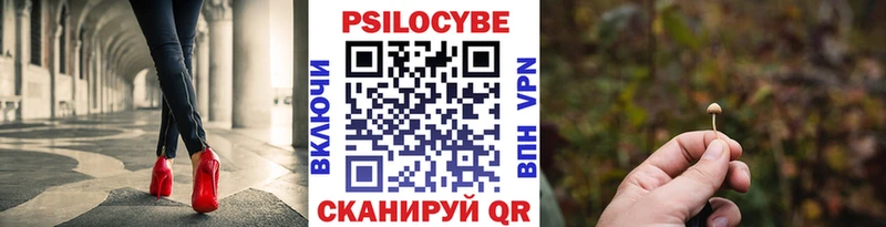 Галлюциногенные грибы Magic Shrooms Ярославль