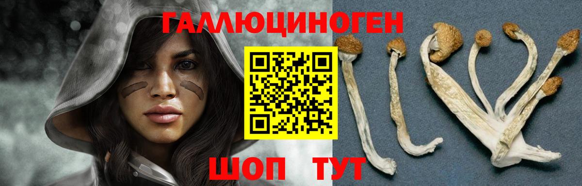 Псилоцибиновые грибы прущие грибы  Вход с VPN  Ярославль 