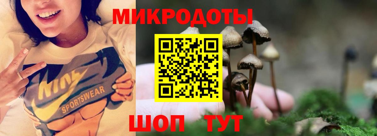 Галлюциногенные грибы прущие грибы Ярославль